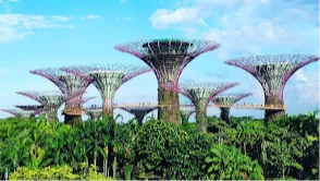 Gardens by the Bay